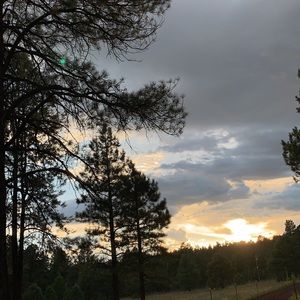 Meet your Posher, Hanna